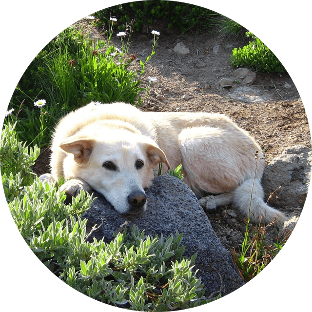 Robert Larsen's profile photo