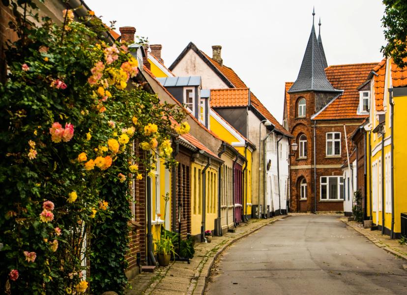 Ribe (Denmark’s oldest town) image 1