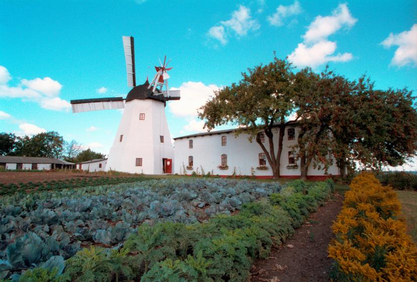 Svaneke image 1