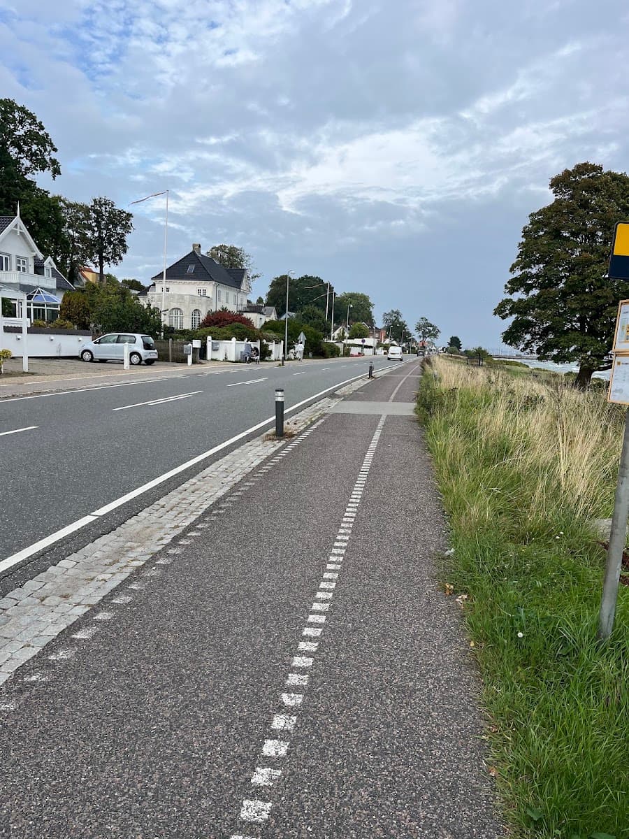 Asphalt bike path alongside coastal road with houses and trees under an overcast sky