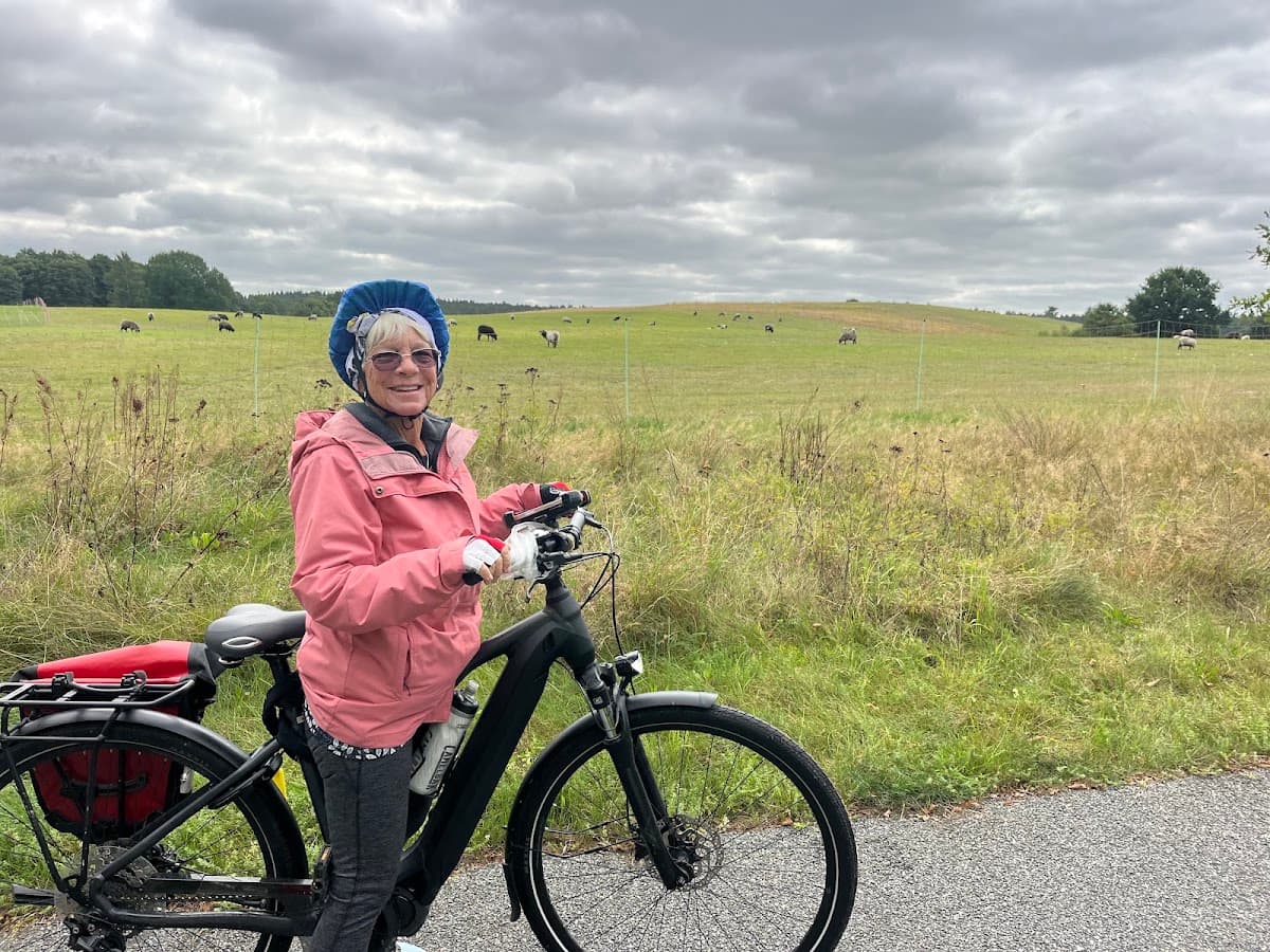Cyclist with pink jacket and bicycle standing near pasture with grazing sheep under cloudy sky