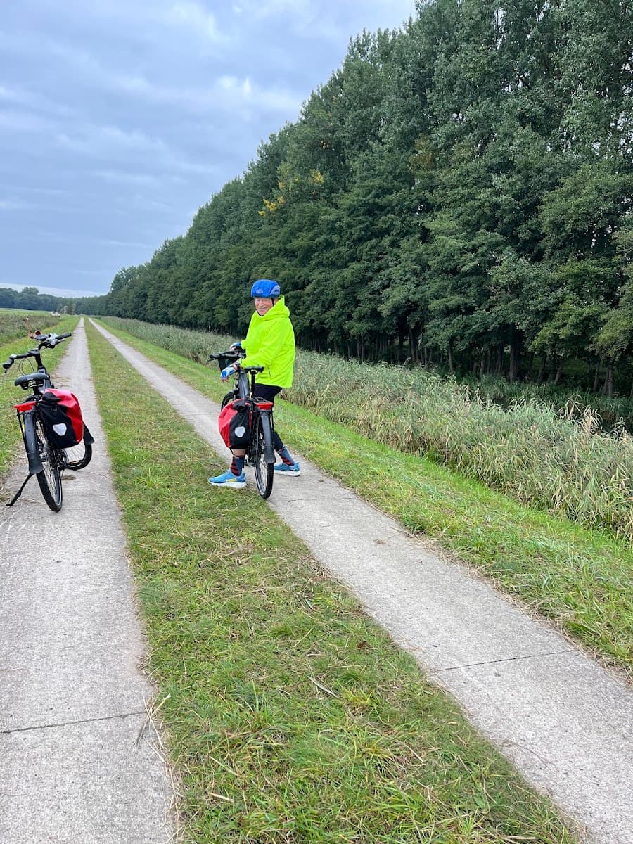 Cyclist with yellow jacket on bicycle path alongside tree line and grass fields