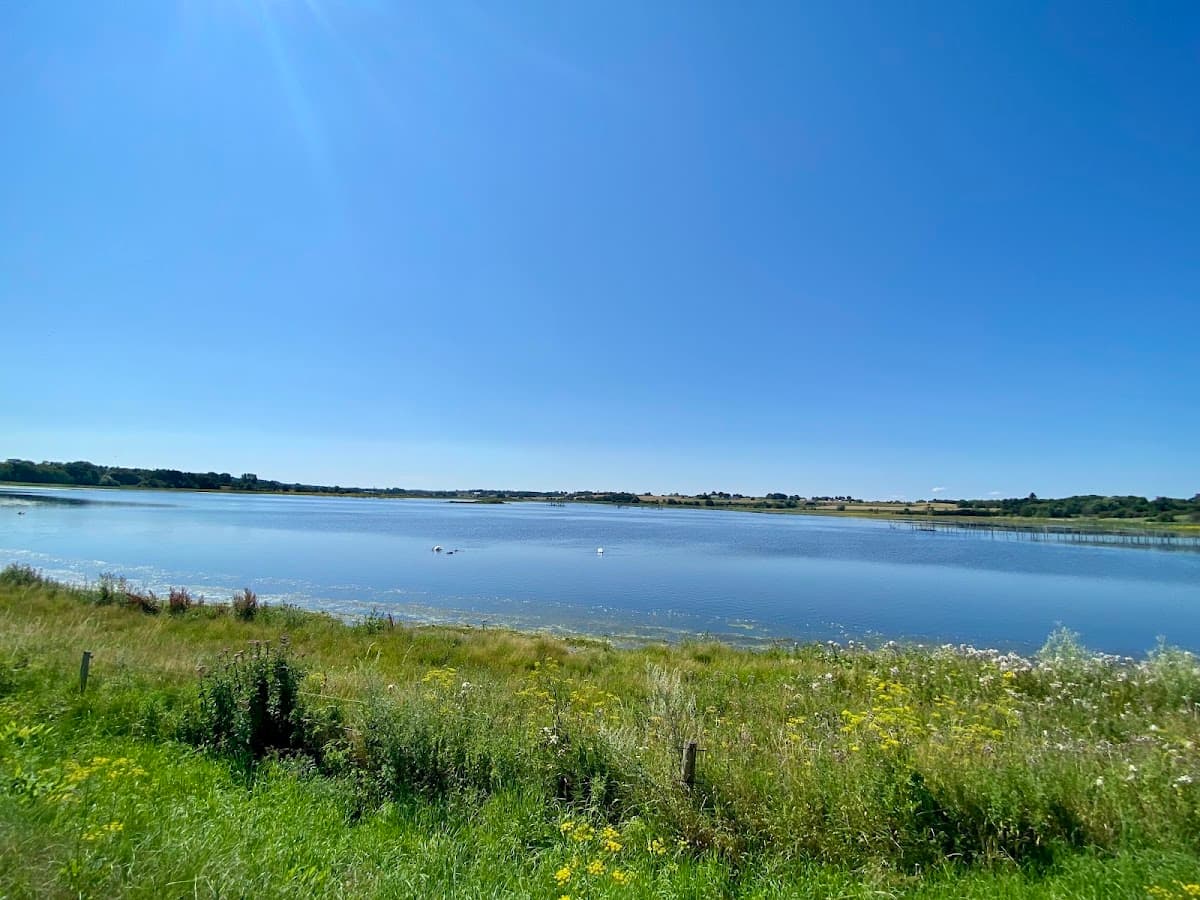 Calm lake with grassy shoreline and blue sky under bright sunlight