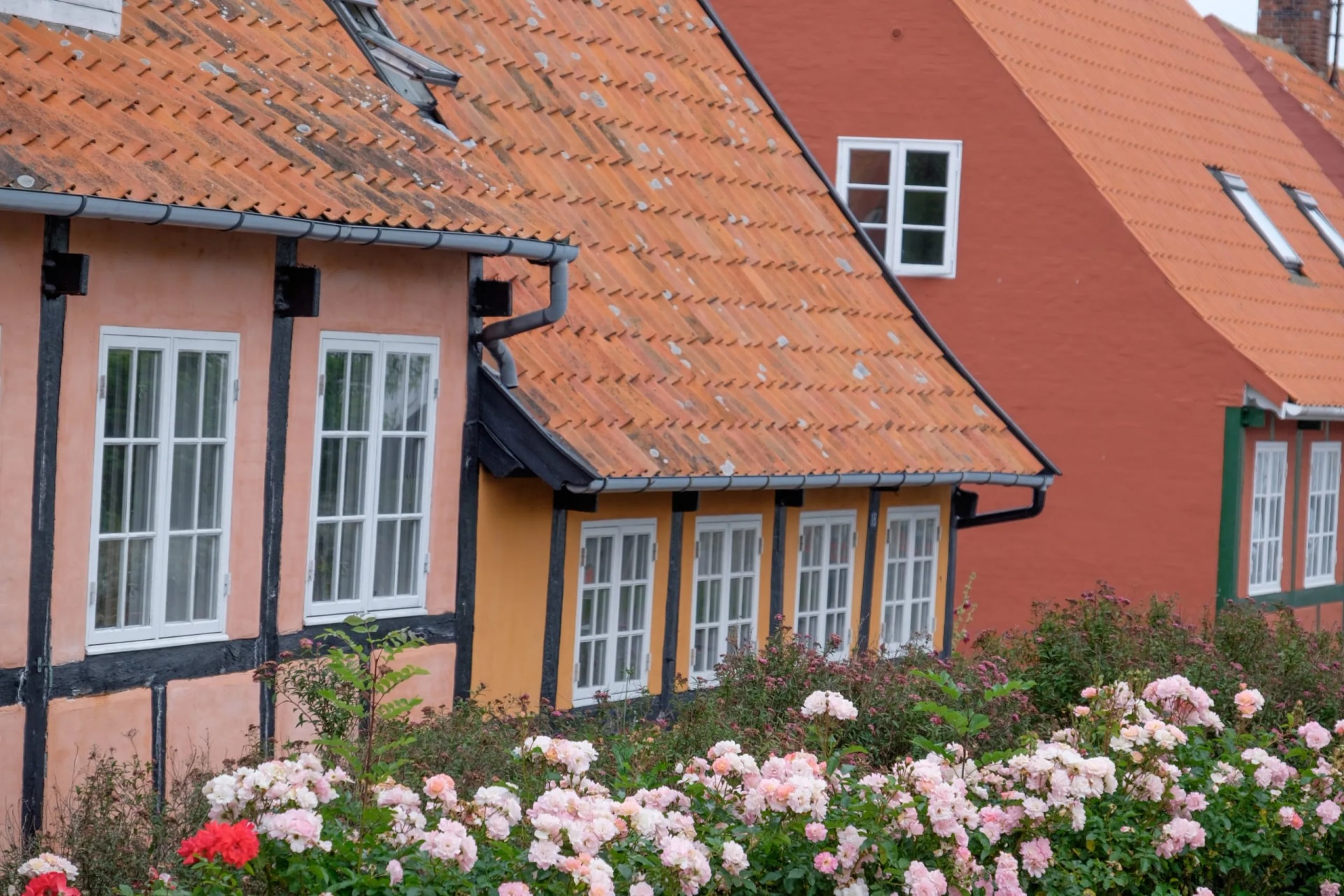 die Insel Bornholm