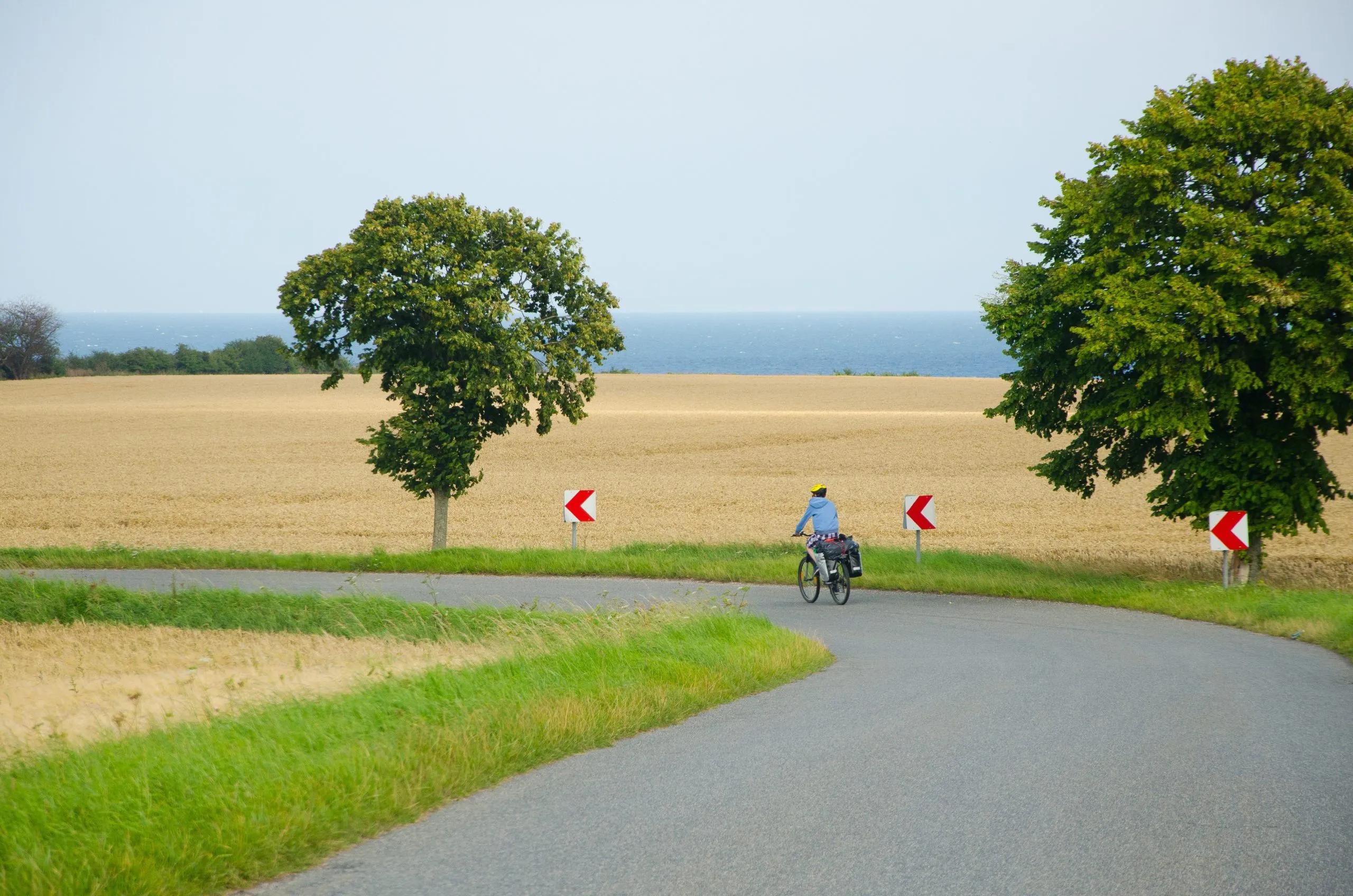 Homepage Photo