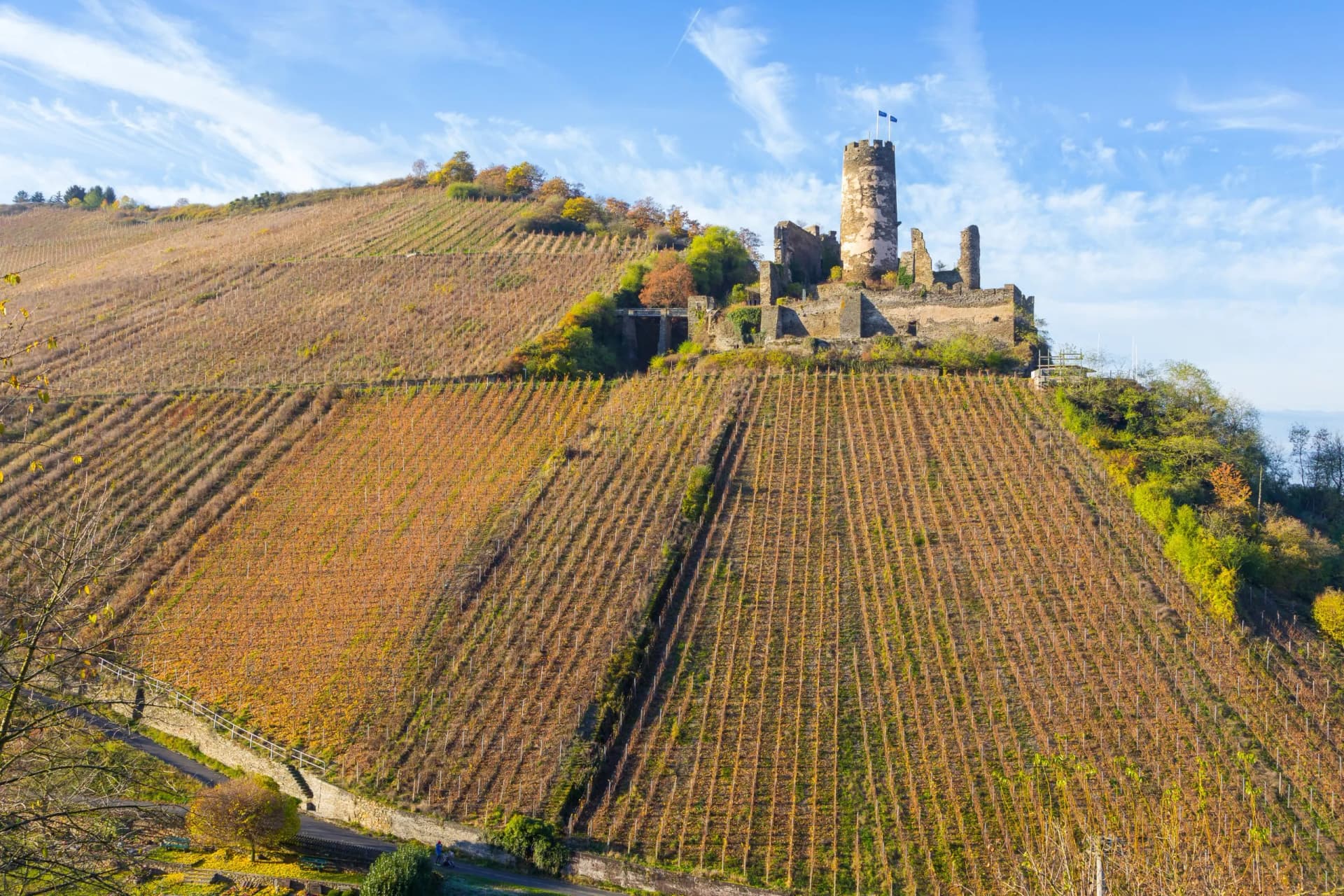 Burg Fürstenberg in Rheindiebach am Rhein. (November 2016)