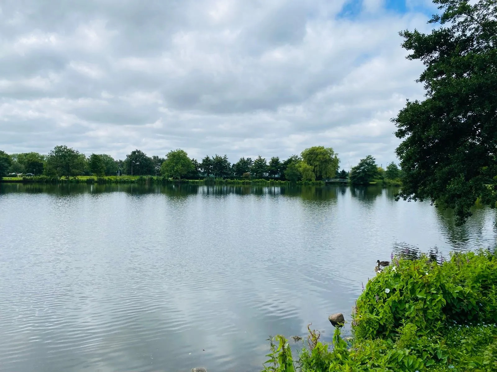 Haderslev dam