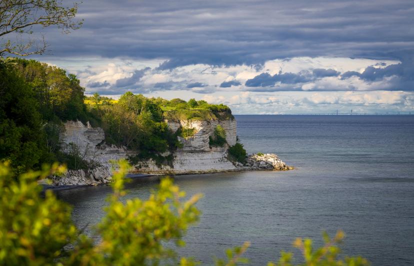 Stevns Klint image 1