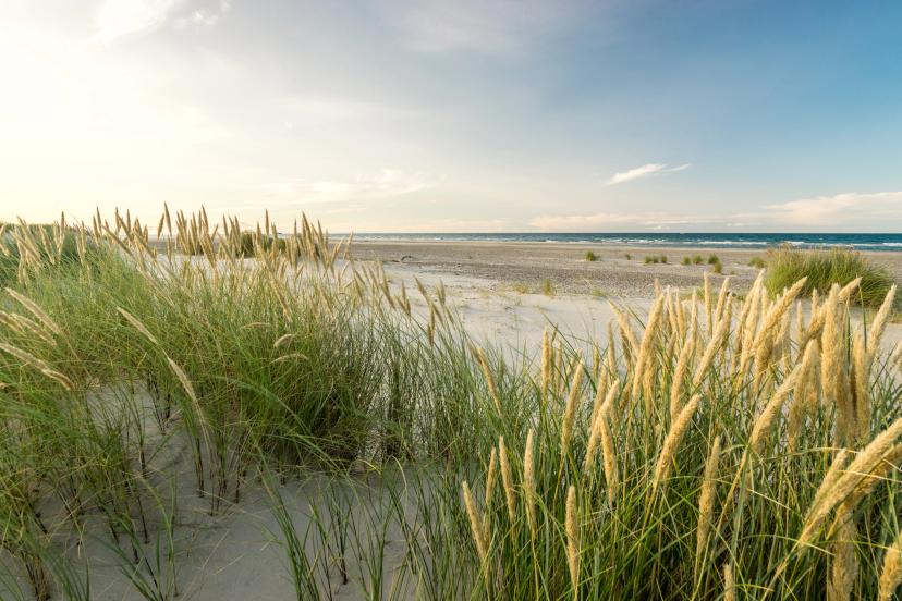 North Sea Beaches & Dunes image 1